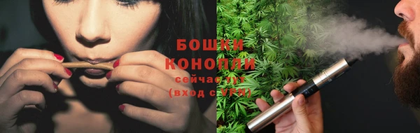 MESCALINE Белокуриха
