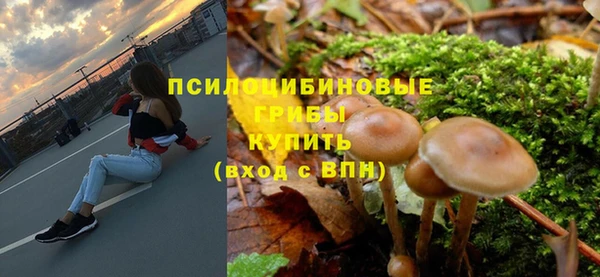 амф Беломорск