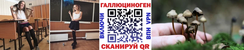 хочу наркоту  Первомайск  hydra зеркало  Галлюциногенные грибы мухоморы 